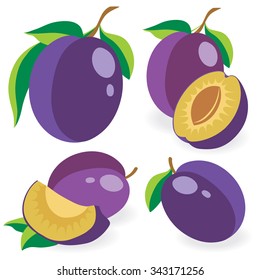 Vector plums. Collection of whole and cut blue plum fruits isolated on white background, vector illustrations