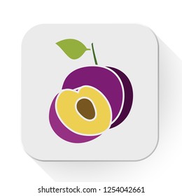 vector plums icon. Flat illustration of fresh plums. plums fruit isolated on white background. plums slice sign symbol