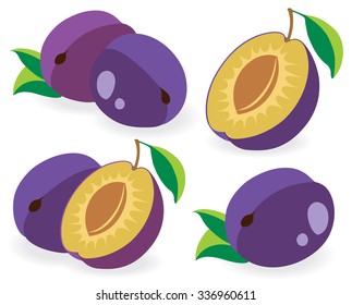 Vector plums. Various cut blue plum fruits on white background, collection of vector illustrations