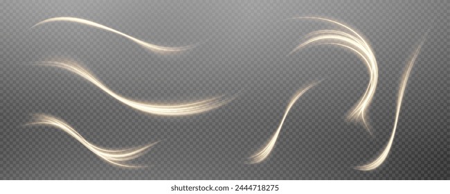 Vector png background with gold glowing lines. Gold glowing lines of speed. Light glow effect. Light trail wave, fire trail line and glow curve swirl.