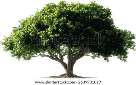 Vector PNG big tree growth standing cutout transparent background, nature, plant silhouette, isolated tree, environmental design, ecofriendly, green concept, nature growth.