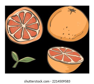 Vector png isolation orange fruit cartoon set wallpaper, concept vitamin C, natural, organic, beauty, framework, drink, artwork, splash, card, fresh fruit, card, beach, picnic, summer, icon
