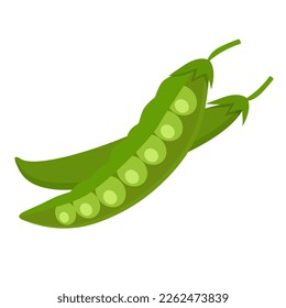 Vectores de vectores de guisantes jóvenes