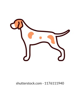 Vector Pointer Dog Icon Isolated On White Background