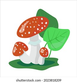 Las setas envenenadas por vectores vuelan agarics