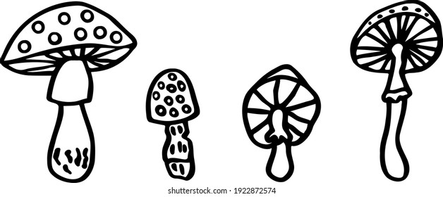 Vector poisonous forest mushrooms. Cute hand-drawn black and white amanita in doodle style. Side and bottom views. Clipart with fly agarics for children's books and prints. Theme wildlife and camping.