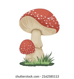 Vector Poisonous Inedible Mushroom Icon Isolated on White. Hand Drawn Cartoon Red Fly Agaric Mushroom Design Template, Clipart. Amanita Muscaria, Fly Agaric Mushroom