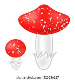Vector Poisonous Mushrooms Isolated on White Background. Agaric Mushroom. Amanita Poisonous Mushrooms