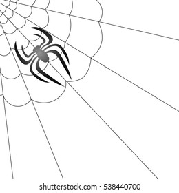 Vector Poisonous Spider and Her Cobweb on White Background