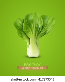 Vektorillustration Pok Chok einzeln auf grünem Hintergrund 