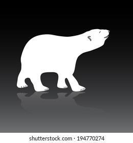 vector polar bear eps10