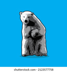 vector polar bear suitable for your stock images