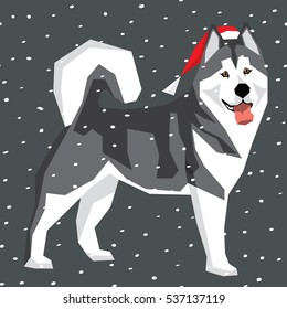 Vector polygon dog collection. Alaskan Malamute dog in Christmas Santa hat. 