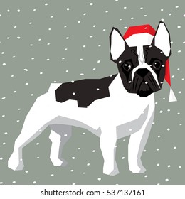 Vector polygon dog collection. French Bulldog dog in Christmas Santa hat.  