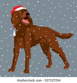 Vector polygon dog collection. Irish Setter dog in Christmas Santa hat.  