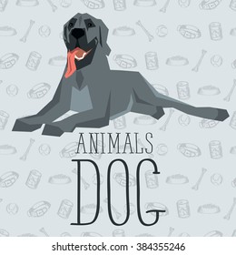 Vector polygon dog concept. Vector polygon geometric dogs collection with seamless background. Great Dane dog