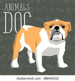 Vector polygon dog concept. Vector polygon geometric dogs collection with seamless background. British Bulldog dog