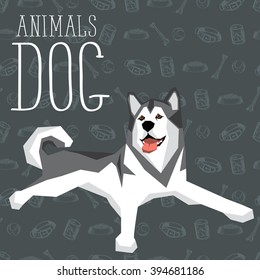 Vector polygon dog concept. Vector polygon geometric dogs collection with seamless background. Alaskan Malamute dog