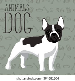 Vector polygon dog concept. Vector polygon geometric dogs collection with seamless background. French Bulldog dog