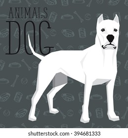 Vectorpolygon dog-Konzept. Kollektion geometrischer Vektor-Polygon-Hunde mit nahtlosem Hintergrund. Dogo Argentino Hund