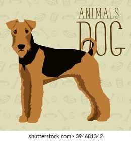 Vector polygon dog concept. Vector polygon geometric dogs collection with seamless background. Airedale Terrier dog