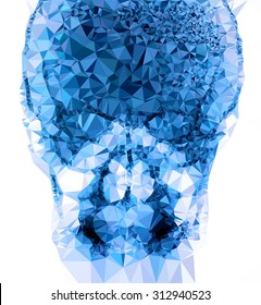 Vector polygon film x-ray human