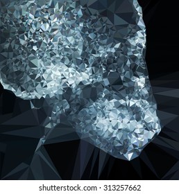 Vector polygon film x-ray human