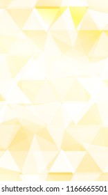 Vector Polygon Geometric Background. For business, presentation, banner, wallpaper.