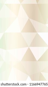 Vector Polygon Geometric Background. For business, presentation, banner, wallpaper.