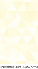 Vector Polygon Geometric Background. For business, presentation, banner, wallpaper.