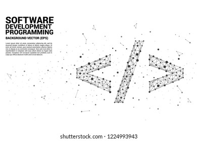 Vector Polygon software development programming tag icon with dot connect line. Concept for Programming language technology and coding.