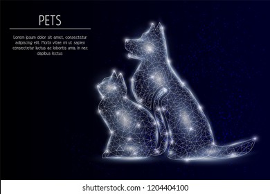 Vector polygonal art style dog and cat. Pet animals low poly wireframe mesh with scattered particles and light effects on dark blue background. Poster banner design template with copy space.