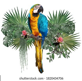 Polígono vectorial de aves de macao azul y dorado con plantas de selva amazónica de fondo blanco.