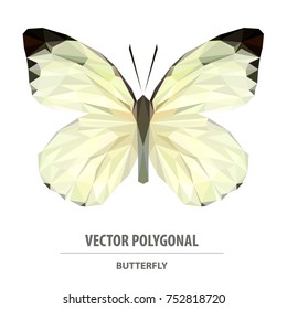 Vector polygonal butterfly isolated on white. Low poly insect illustration. Triangle color animal image.