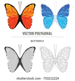 Vector polygonal butterfly isolated on white. Low poly insect illustration. Triangle color animal image.