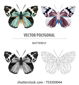 Vector polygonal butterfly isolated on white. Low poly insect illustration. Triangle color animal image.