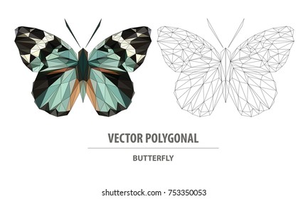 Vector polygonal butterfly isolated on white. Low poly insect illustration. Triangle color animal image.