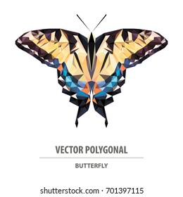 Vector polygonal butterfly. Low poly animal illustration. Triangle insect color image.