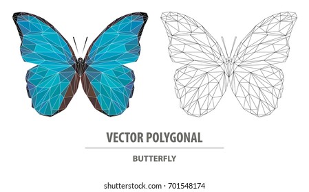 Vector polygonal butterfly. Low poly animal illustration. Triangle insect color image.