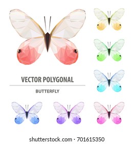 Vector polygonal butterfly. Low poly animal illustration. Triangle insect color image.