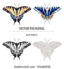 Vector polygonal butterfly. Low poly animal illustration. Triangle insect color image.