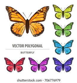 Vector polygonal butterfly. Low poly animal illustration. Triangle insect color image.