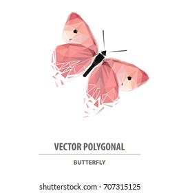 Vector polygonal butterfly. Low poly animal illustration. Triangle insect color image.