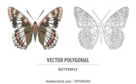 Vector polygonal butterfly. Low poly animal illustration. Triangle insect color image.