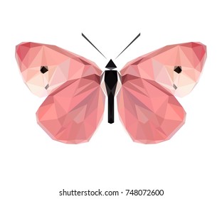 Mariposa policlonal vectorial. Ilustración de insectos de polilla baja. Imagen de animal de color triángulo.