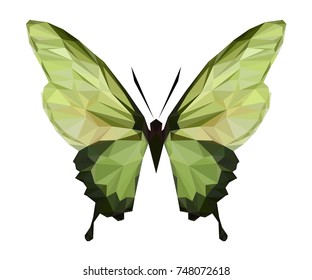Vector polygonal butterfly. Low poly insect illustration. Triangle color animal image.