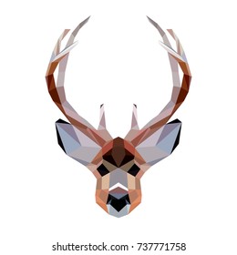 Vector polygonal deer isolated on white. Low poly deer illustration. Color vector simple animal predator image.
