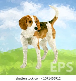 Vector polygonal dogs silhouettes. Set of poly dog play and have fun outdoors