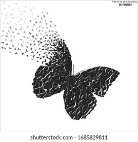 Vector polygonal drawing of a butterfly, an idea for web sites.