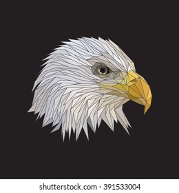Vector polygonal eagle head illustration, profile portrait. Lines and colors in different groups.